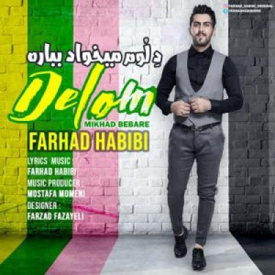 دانلود آهنگ جدید فرهاد حبیبی دلوم‌ میخواد بباره
