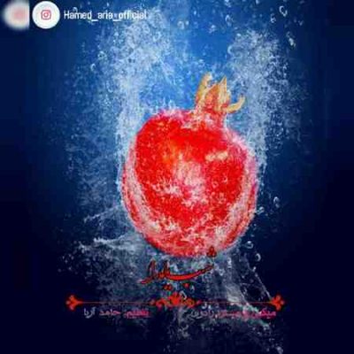 دانلود آهنگ جدید حامد آریا شب یلدا