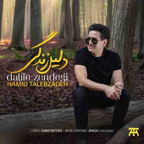 دانلود آهنگ جدید حمید طالب زاده دلیل زندگی