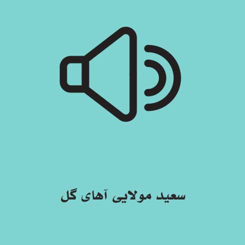 دانلود آهنگ سعید مولایی آهای گل (پخش آنلاین و لینک قوی) MP3