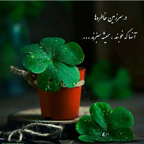 آهنگ فاطی جون چشم تو سگ داره با صدای مسلم فتاحی