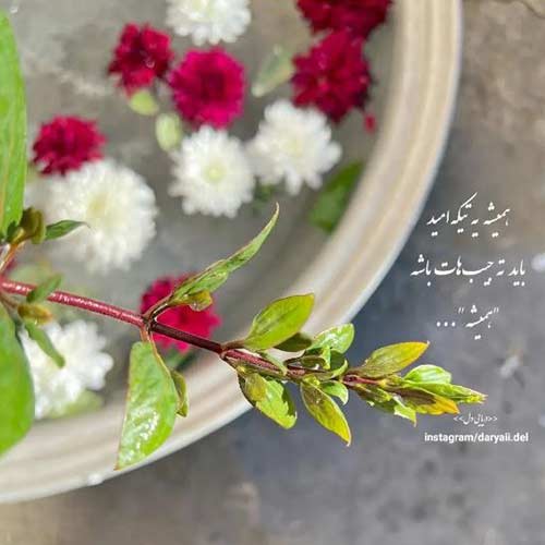 دانلود اهنگ دریا میمیرم بعد تو با صدای مهیار MP3