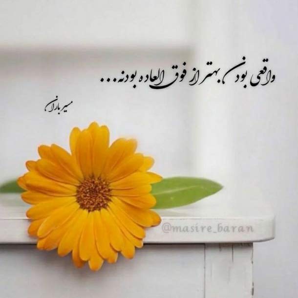 دانلود اهنگ تو دیوونه رفتی یه شب بی نشونه معین MP3