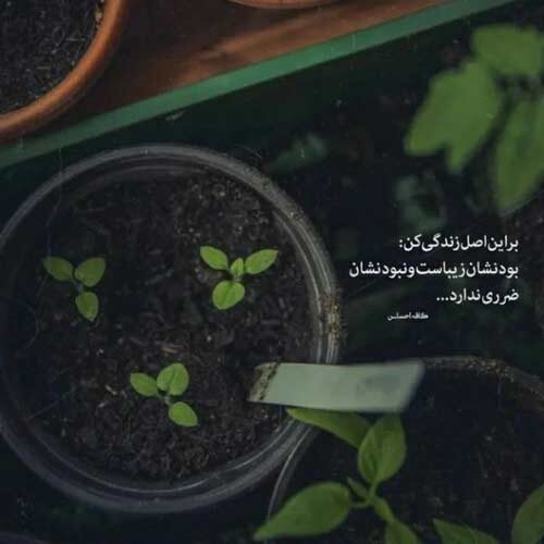 اهنگ مست کردم وه یادم بچی عرفان پند MP3