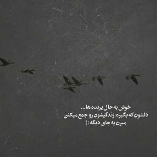 اهنگ فلک دادو فلک داد وحید حیدری MP3