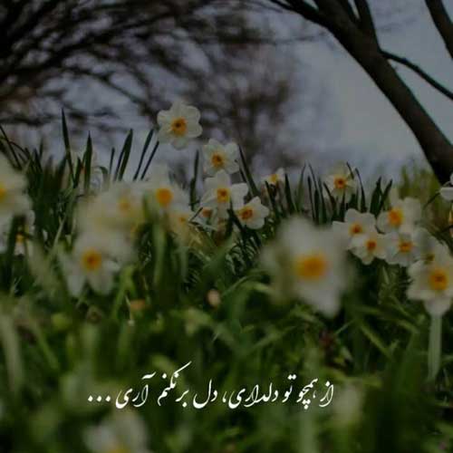 اهنگ بزار همه برن فقط تو بمون نرو / کیفیت اصلی MP3