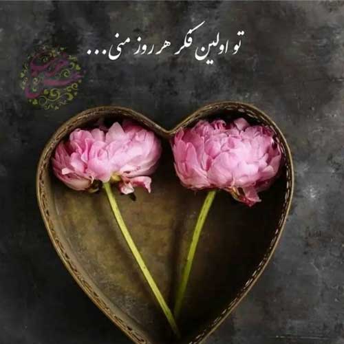 اهنگ میارم سنگ و قیچی تالک داون / پخش آنلاین MP3
