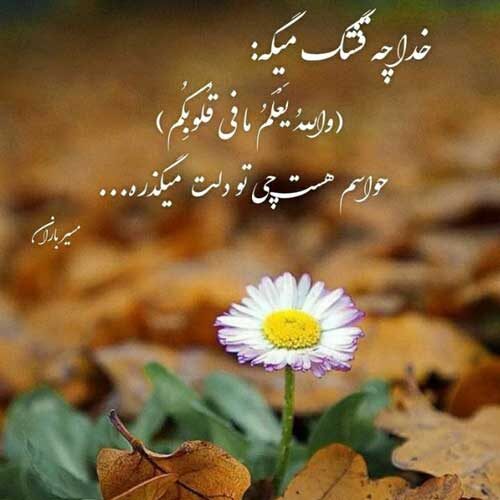 اهنگ شدی آرامش کل این زندگی احسان خواجه امیری MP3