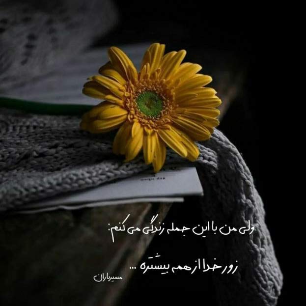 اهنگ یک نفر میاد که من منتظر دیدنشم از داریوش MP3