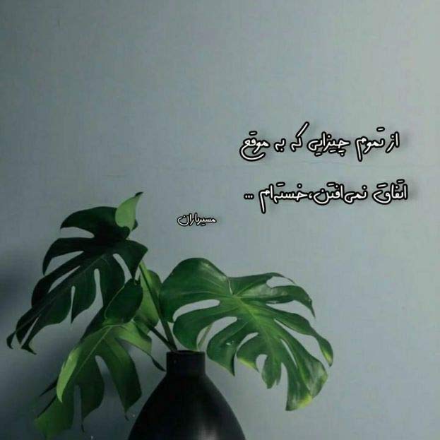 آهنگ اگر با غم ولی همسایه من اگر پاییزیم از برگ تا برگ