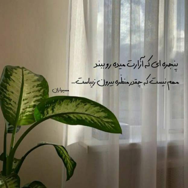 آهنگ دوست دارم نرو دوست دارم بفهم دوست دارم بمون