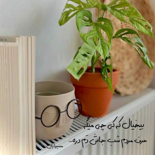 آهنگ نازنين تو همرهی با راز داران ميکنی آتشی را زيره خاکستر