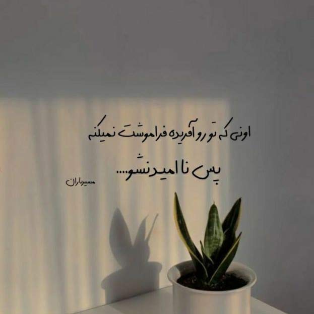 اهنگ سر سنگ مزارم گل بریزید با صدای سجاد رزمجو