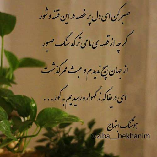 دانلود اهنگ من دارم بهار بهار با صدای گل نظر نظری
