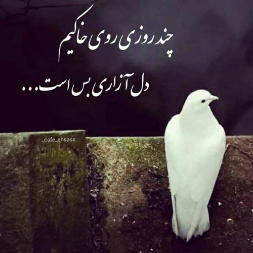 آهنگ تو چشمات یه عشقه میثم ابراهیمی / کیفیت اصلی MP3