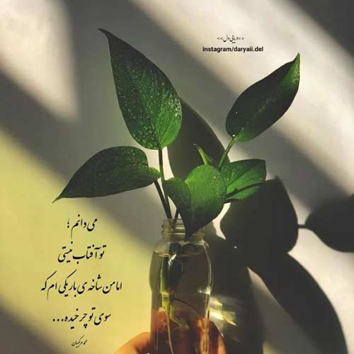 اهنگ چه بی صدا جون میدمو با صدای زن هوش مصنوعی