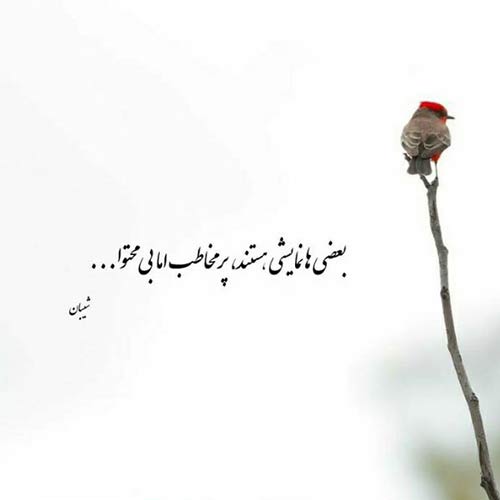 اهنگ حالا برگشتی بعد سه سال خواننده اصلی / کیفیت اصلی MP3