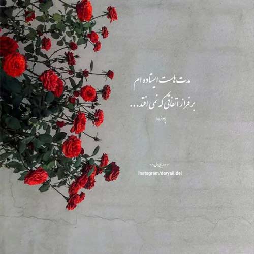 اهنگ آی ستاره آی ستاره بی تو شب نوری نداره از شادمهر