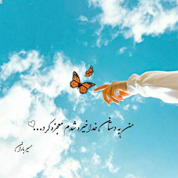 دانلود اهنگ محسن فیروزیان بنام گلم ای گل عسلی MP3