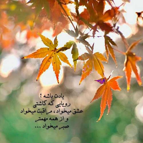 آهنگ اگه روزگار بذاره امیر شاملو / کیفیت بالا MP3