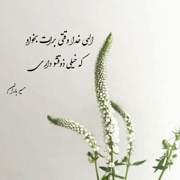 دانلود آهنگ الو الو سلام سلام ده گوروم نجدی منیم بالام MP3
