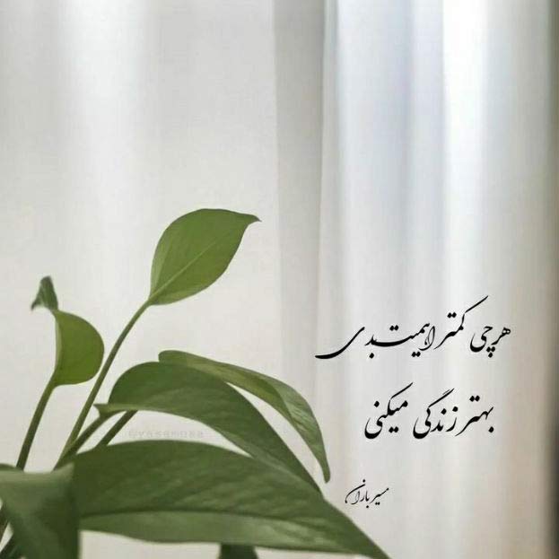 دانلود اهنگ حالا انار انار نوبر مو با صدای امیر احمدی MP3