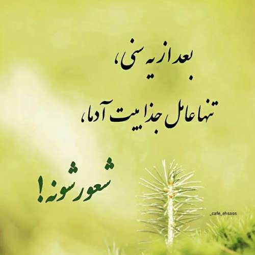 اهنگ مثل زخم بال پرندم امین بانی و محمدرضا علیمردانی MP3