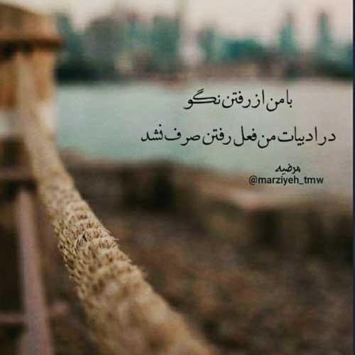 اهنگ قدمای شونه به شونه ی زیر باروناتو میخرم نرو دانوش MP3
