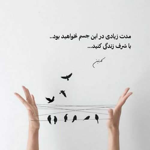 آهنگ پوریا منصوری گیسوگل / کیفیت بالا MP3