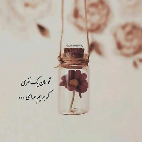 آهنگ پوریا منصوری نرگس خانم / پخش آنلاین MP3