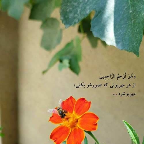 آهنگ امیر خلوت بدو دنبال بازیت / کیفیت اصلی MP3