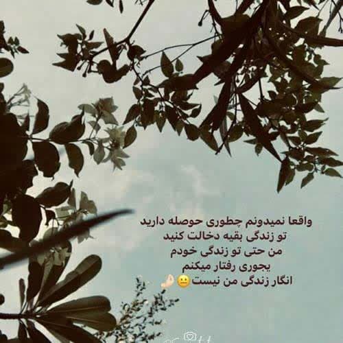 آهنگ اشکان پناهی پار یه سال امسال دو سال / کیفیت بالا MP3